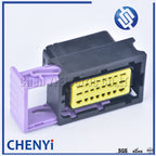 24 Pin ECU automotive plastic enclosure box case motor car LPG CNG conversion ECU controller with auto connectors 211PC249S0005