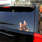 Car Styling Cartoon Dog Stickers French Bulldog Windscreen Vinyl Decal Decor Waterproof Creative Car Stickers Decoration 12*10cm