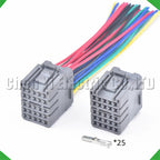 25-Pin Auto Connector Connector Automotive connector 60981448-H harness Honda