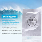 Car Aromatherapy Clip Solid Aromatherapy Strips Set Auto Air Outlet Wind Direction Paddle Hidden Fragrance Clip Scent Tablets