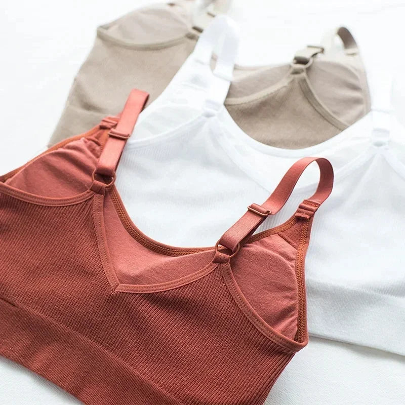 Breathable Sports Bras Women Hollow Out Padded Sports Bra Top Plus Size Gym Running Fitness Yog Sports Seamless Fitness Amagi