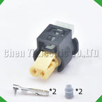 2-Pin Wire Harness Harness Automotive waterproof connector Bmw Benz fuel injector