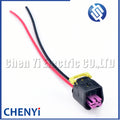 2 Pin Auto waterproof connector Crankshaft position sensor Fuel injector Wire harness plug 1928A00152 For Hyundai GDI Kia Suzuki