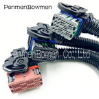 1 Set 32 48 Pin 64320-1319 Car Connector Natural Gas OH6 Engine Computer ECU Board Wiring Harness Plug For 64320-3311 64319-1218
