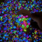 Mini Luminous Turtle Ornaments Glowing In The Dark Miniatures/Giant Turtle Micro Landscape Kids Toys Home Decor Gift Amagi