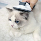Pet One-touch De-shedding Pet Comb De-shedding Cat Comb Automatic Fading Grooming Dog Comb Hair Brush Amagi