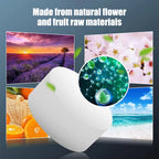 Car Air Freshener Replacement Tablet Flavor Supplement Solid Fragrance Scent Pads Perfume Refill for Air Vent Diffuser Purifier