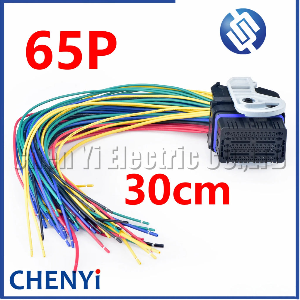 65 Pin Automotive waterproof connector Engine computer board ECU ECM harness plug 6521 6511 For Nissan Teana Sylphy Suzuki Alto