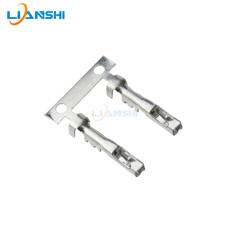 12048074-1/12084200 Automotive connector, plug-in, terminal, wire harness, plug, spring