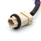 Auto lamp holder wiring harness connector plug HDL-241