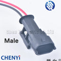 2 Pin automotive plug Diesel Fuel Common Rail Injector Crankshaft Sensor female Connector For Ford Renault 1928403874 with wire