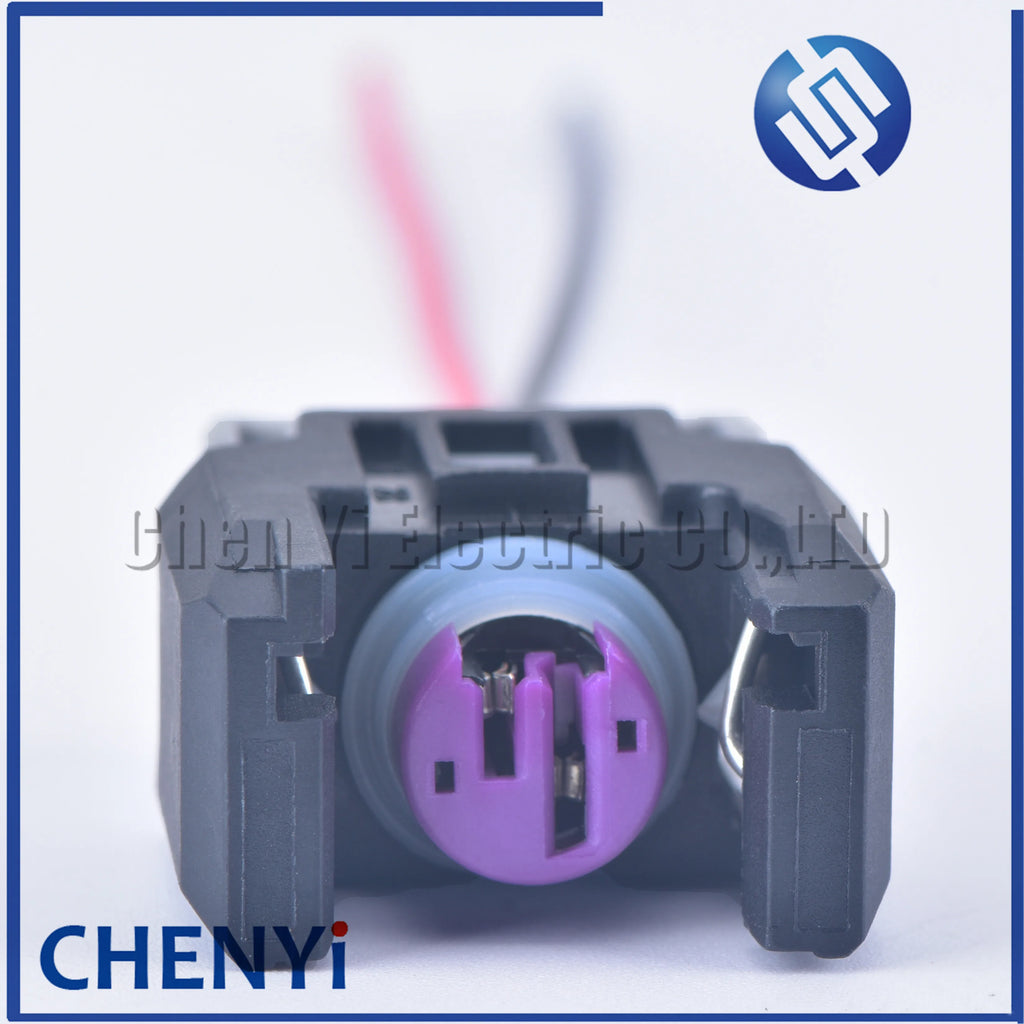 2 Pin sealed EFI diesel common rail engine H5H6 injector nozzle connector plug For Buick The Great Wall 13816706 with wire