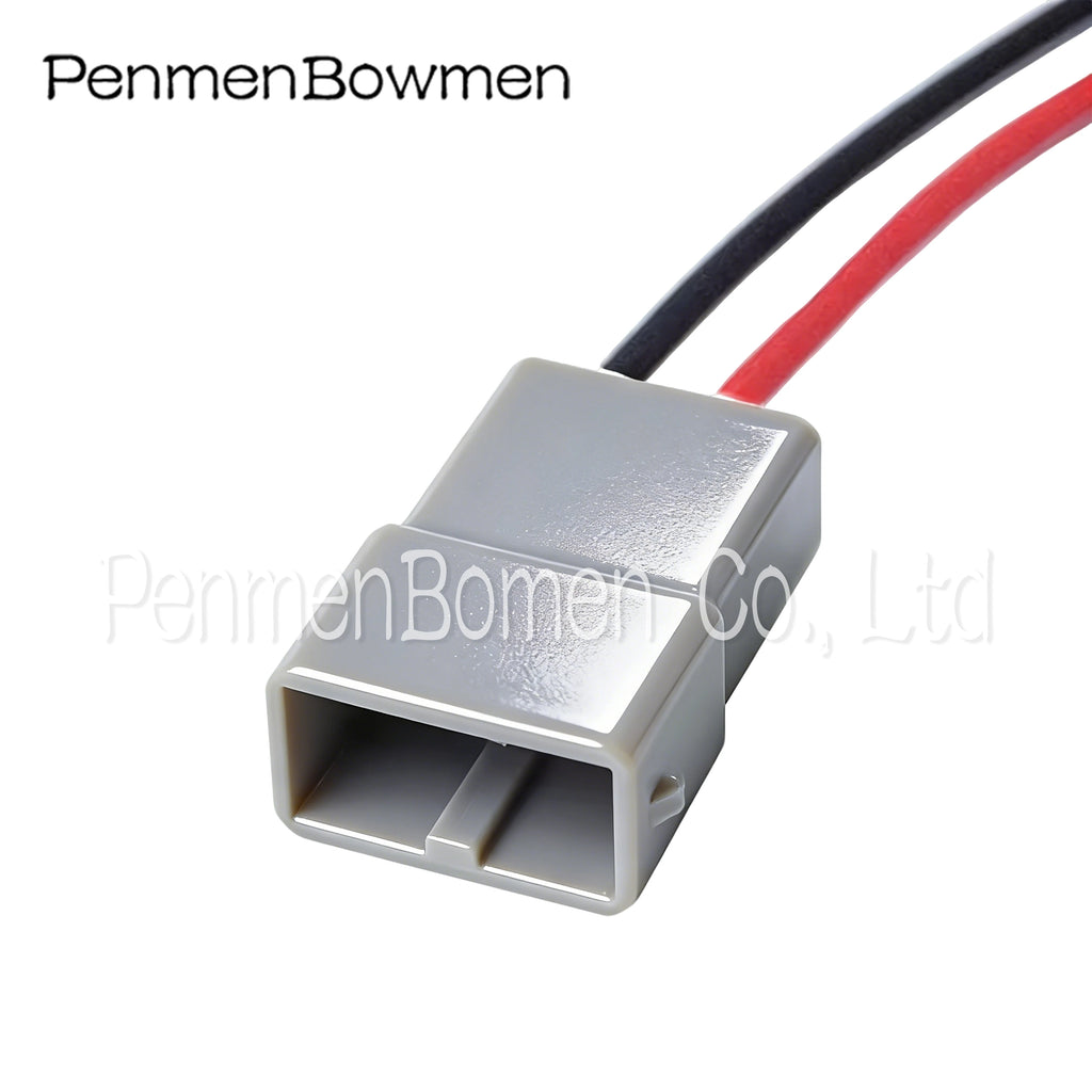 1 Set 2 Pin 6098-0296 Auto Door Horn Audio Speaker Electrical Cable Connectors Female Male Wire Harness Plug 6098-0422 For Honda