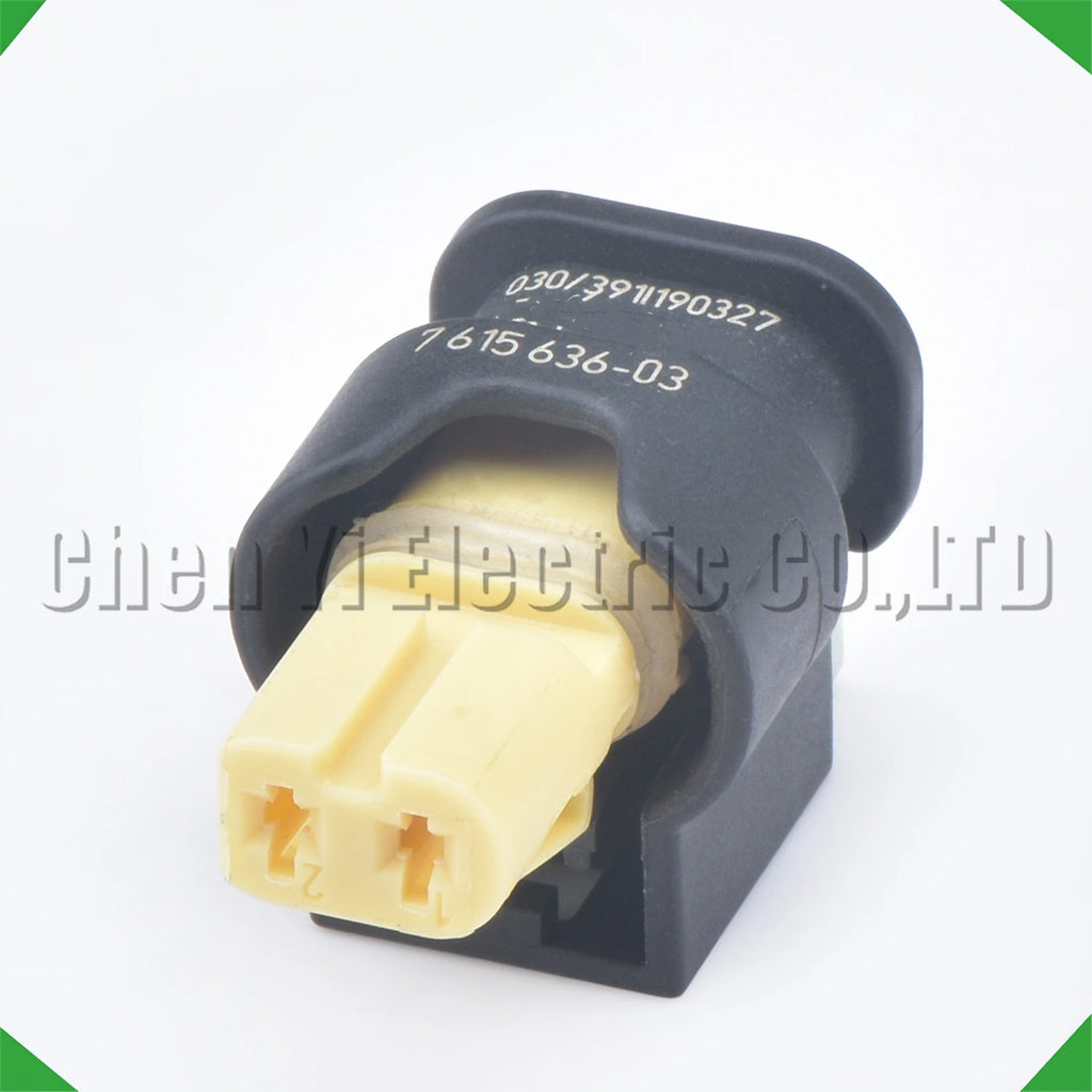 2-Pin Wire Harness Harness Automotive waterproof connector Bmw Benz fuel injector