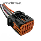 1 Set 10 Pin Auto Window Mirror Controller Electrical Connectors Female Wiring Harness for Renault Cars Plug 98816-1011
