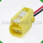 2-Pin Wire Harness automobile waterproof connector sensor harness sensor