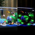 Mini Luminous Turtle Ornaments Glowing In The Dark Miniatures/Giant Turtle Micro Landscape Kids Toys Home Decor Gift Amagi