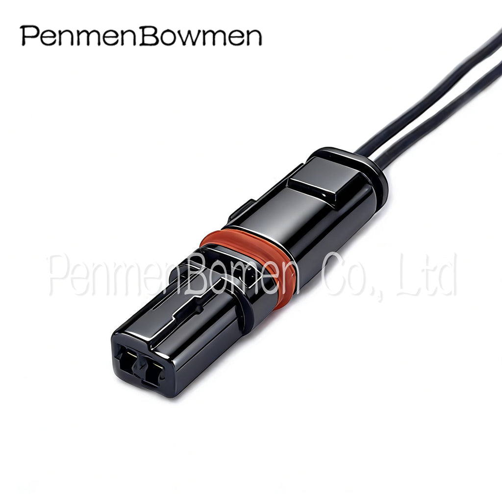 1 Set 2 Pin Car Modified Door Handle Rearview Mirror Heating Socket Electrical  Connectors Wire Harness Plug For BMW GT528i GT53