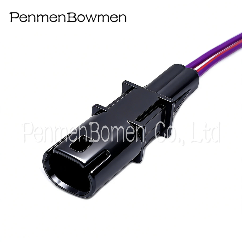 1 Set 2 Pin Car Modified Door Handle Rearview Mirror Heating Socket Electrical  Connectors Wire Harness Plug For BMW GT528i GT53