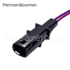 1 Set 2 Pin Car Modified Door Handle Rearview Mirror Heating Socket Electrical  Connectors Wire Harness Plug For BMW GT528i GT53