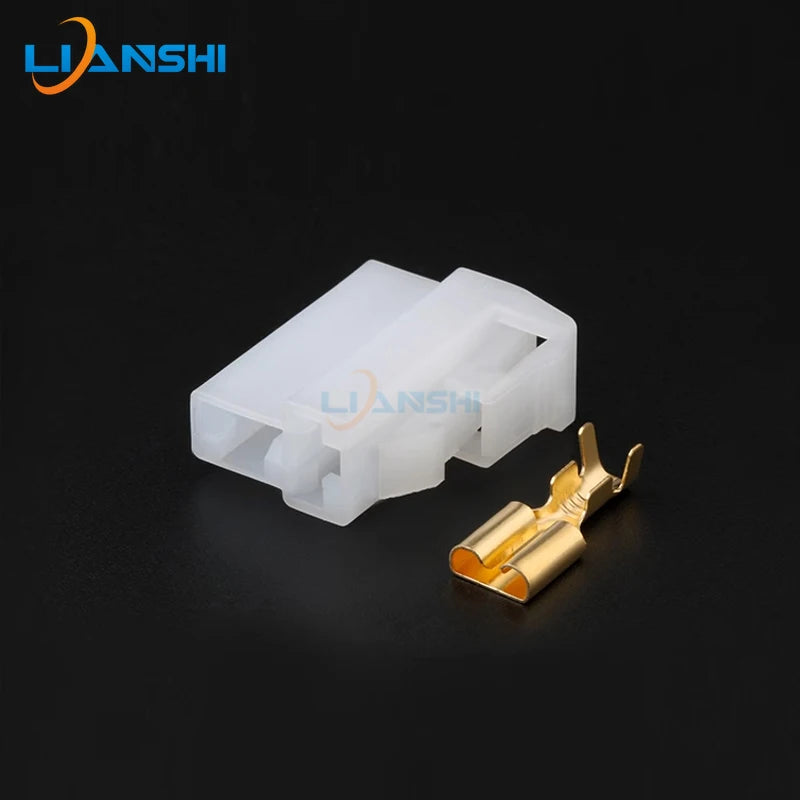 6070-2471 6070-2481 Car connector 2-hole 2p wiring harness plug with terminal DJ7022A-6.3-11/21