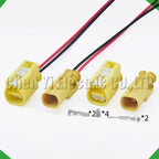 2-Pin Wire Harness automobile waterproof connector sensor harness sensor