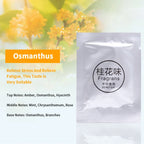 Car Aromatherapy Clip Solid Aromatherapy Strips Set Auto Air Outlet Wind Direction Paddle Hidden Fragrance Clip Scent Tablets